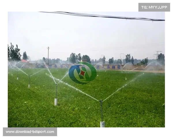西雅图主场创新举措引领潮流 安装智能草坪温控系统提升比赛质量 西雅图主场创新举措引领潮流 安装智能草坪温控系统提升比赛质量